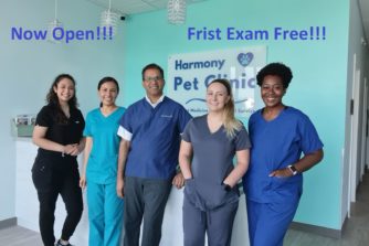 harmony vet care brandon reviews