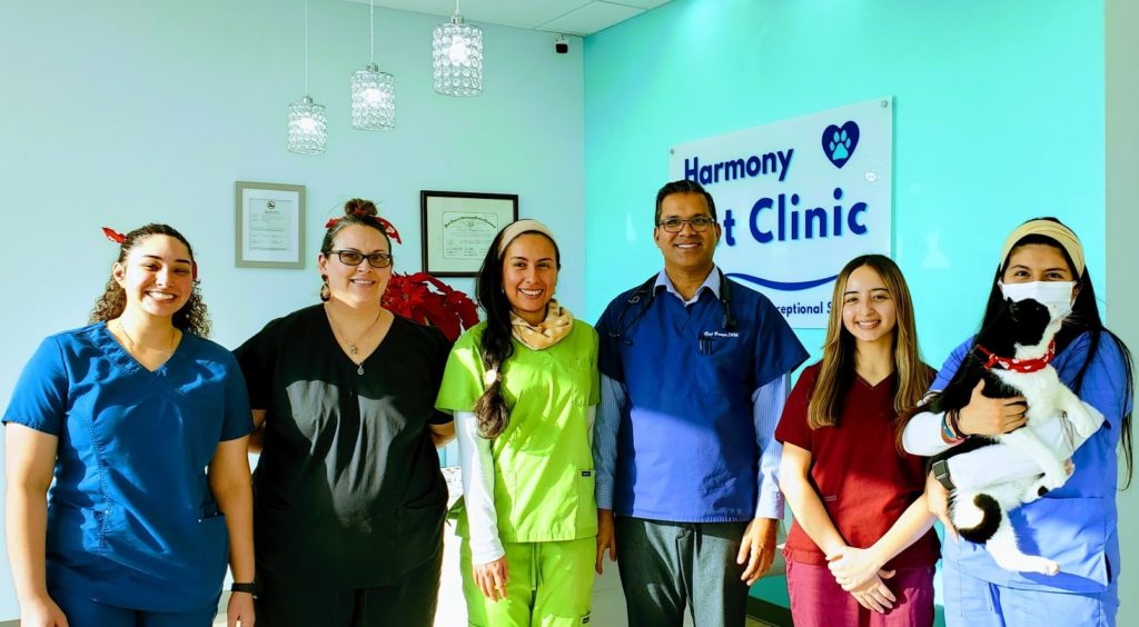 About Us - Harmony Pet Clinic